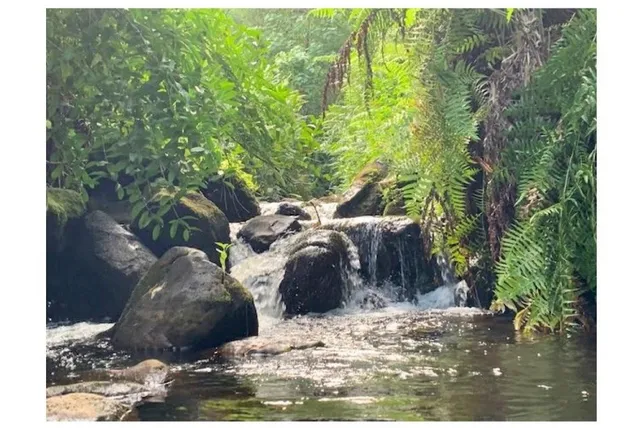 a view of a outdoor space