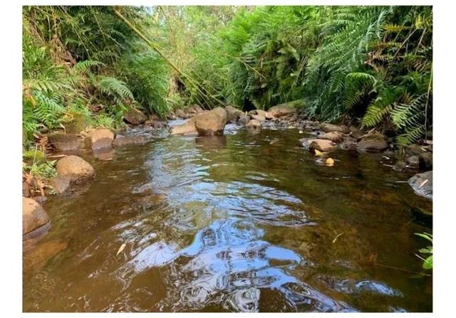 a view of a lake view