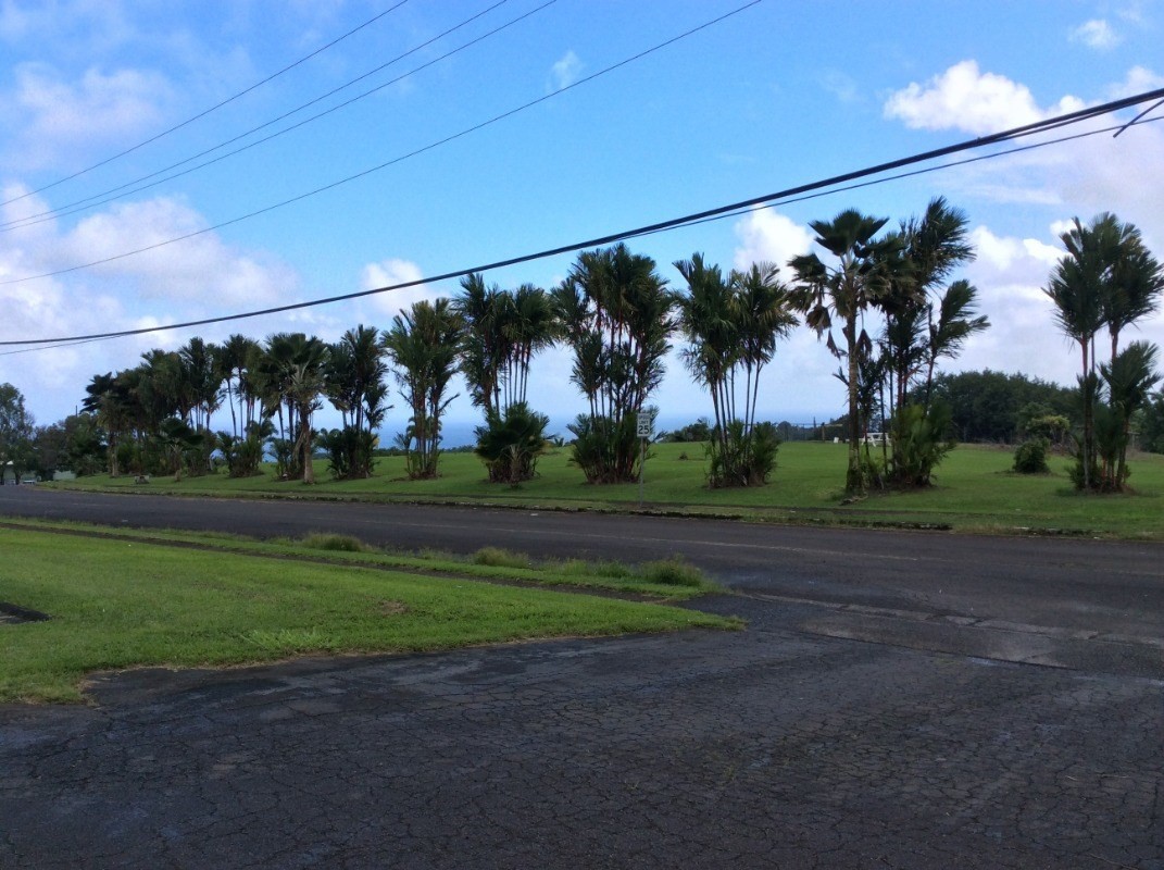 28-2981 Kumula Street Pepeekeo, HI 96783 - Photo 2 of 28 a view of a yard