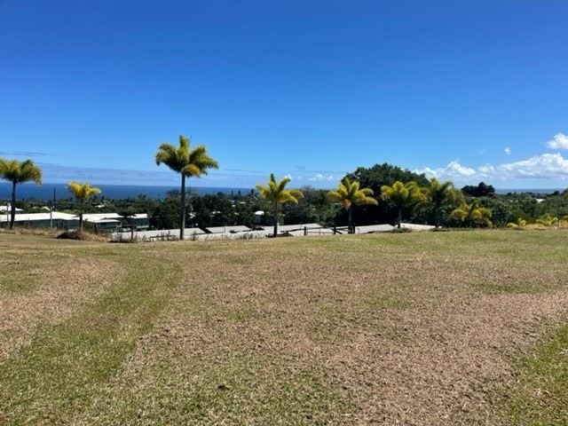 28-2981 Kumula Street Pepeekeo, HI 96783 - Photo 22 of 28 a view of swimming pool with a yard