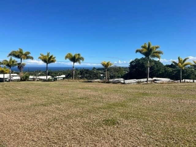 28-2981 Kumula Street Pepeekeo, HI 96783 - Photo 26 of 28 a view of a garden