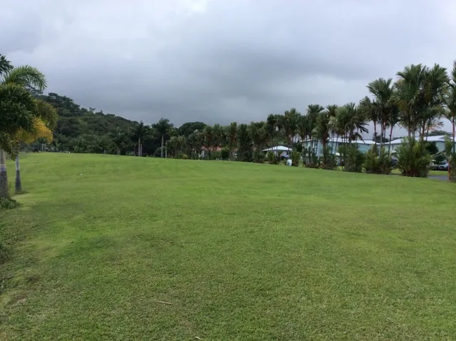 a view of a field of grass and trees