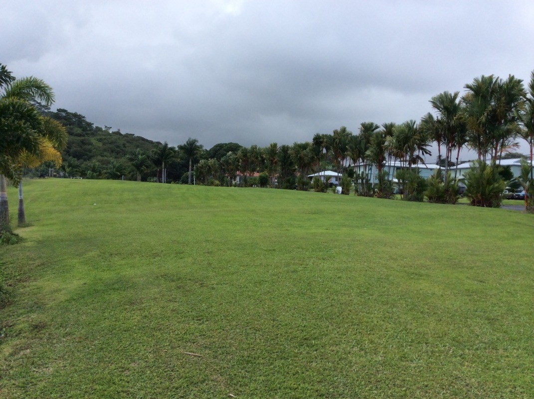 28-2981 Kumula Street Pepeekeo, HI 96783 - Photo 3 of 28 a view of a field of grass and trees