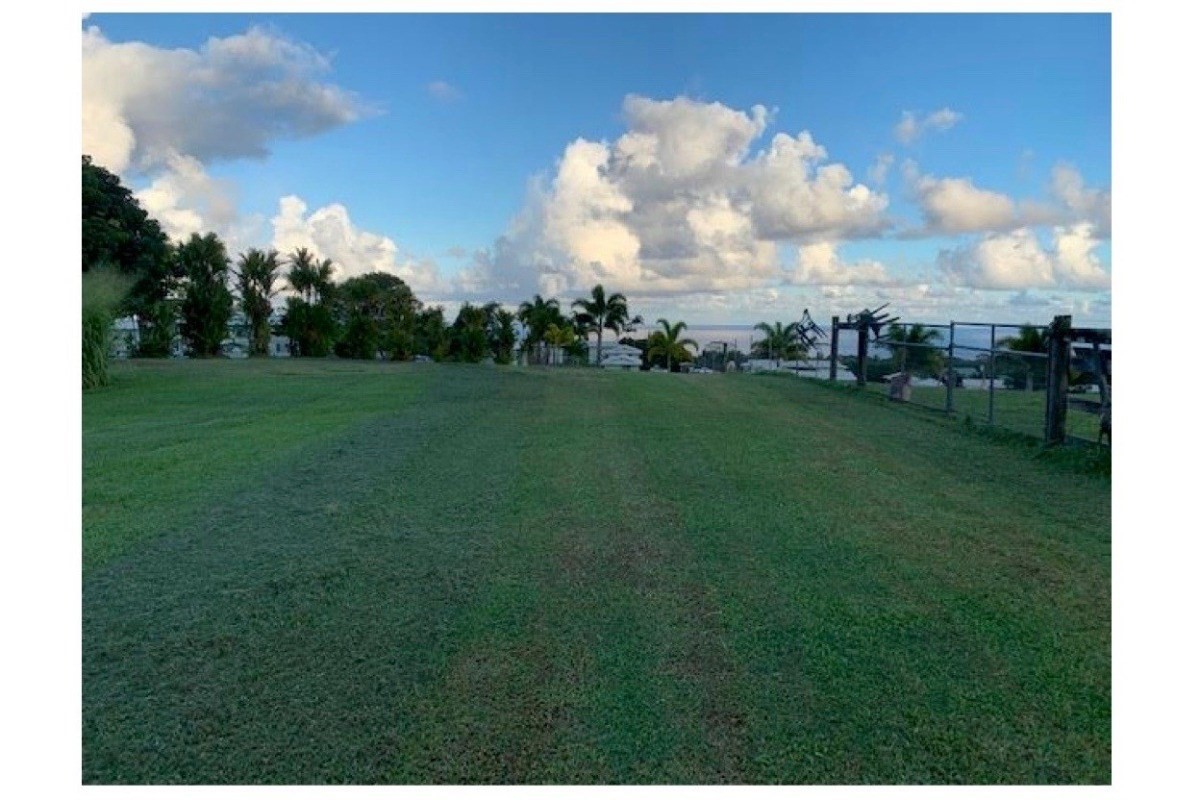 28-2981 Kumula Street Pepeekeo, HI 96783 - Photo 7 of 28 a view of a green field