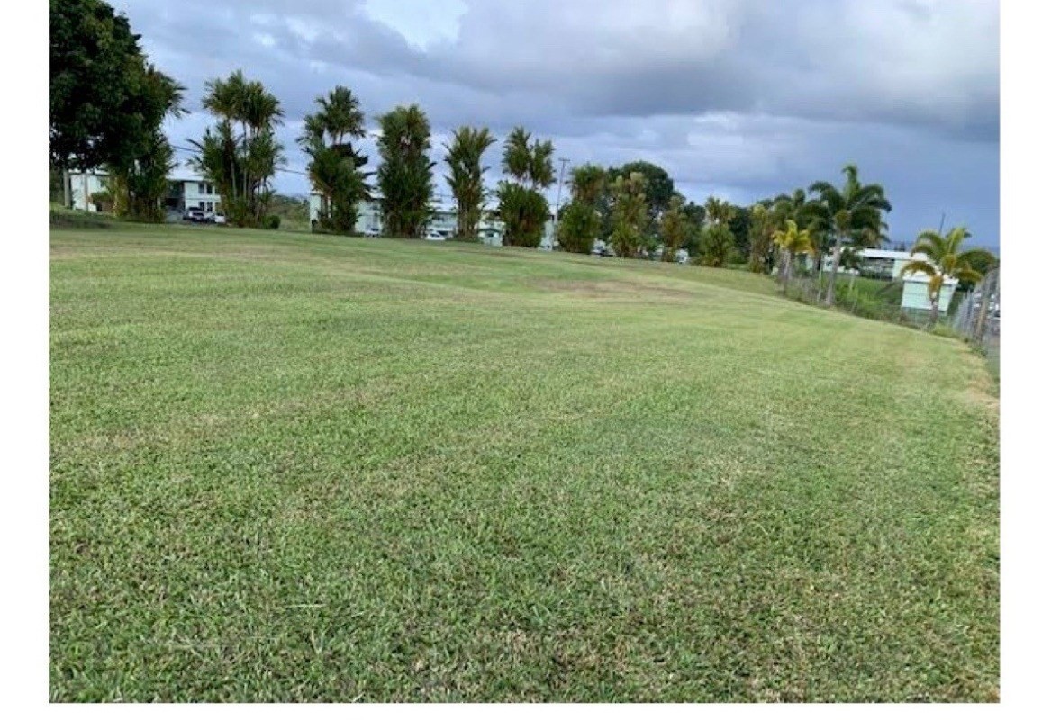 28-2981 Kumula Street Pepeekeo, HI 96783 - Photo 8 of 28 a view of a grassy field with trees