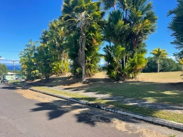 a view of a yard with a tree