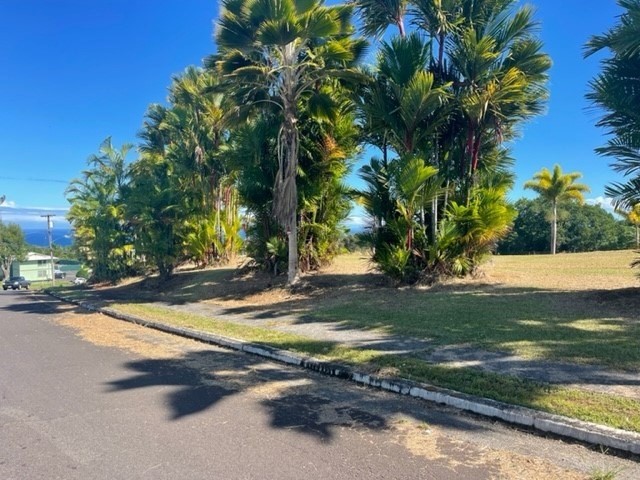 28-2981 Kumula Street Pepeekeo, HI 96783 - Photo 9 of 28 a view of a yard with a tree