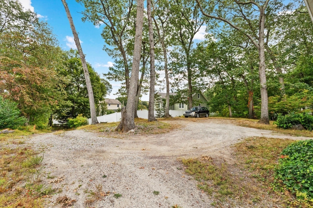 8 Everett Street Wakefield, MA 01880 - Photo 9 of 32 a view of a tree in the middle of a yard
