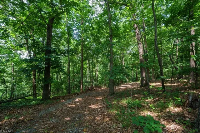 $230,000 | 0 Hendren Road, Moravian Falls, NC 28654
