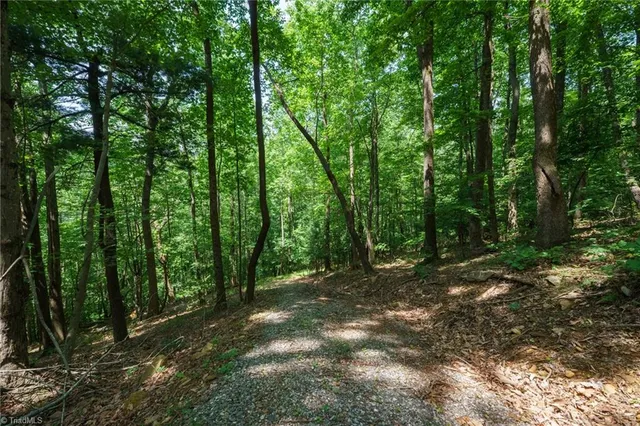 $230,000 | 0 Hendren Road, Moravian Falls, NC 28654