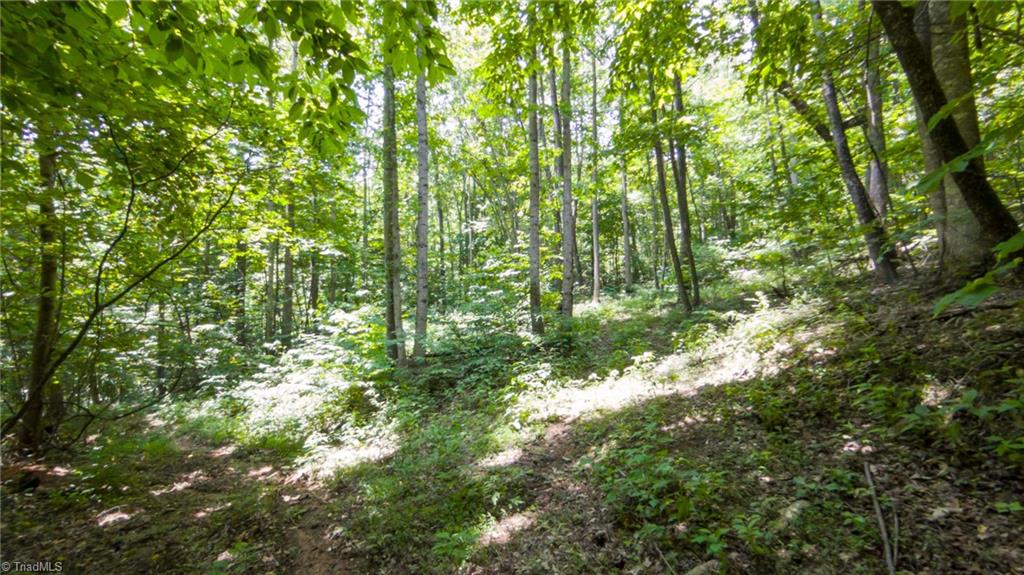 0 Hendren Road Moravian Falls, NC 28654 - Photo 6 of 13