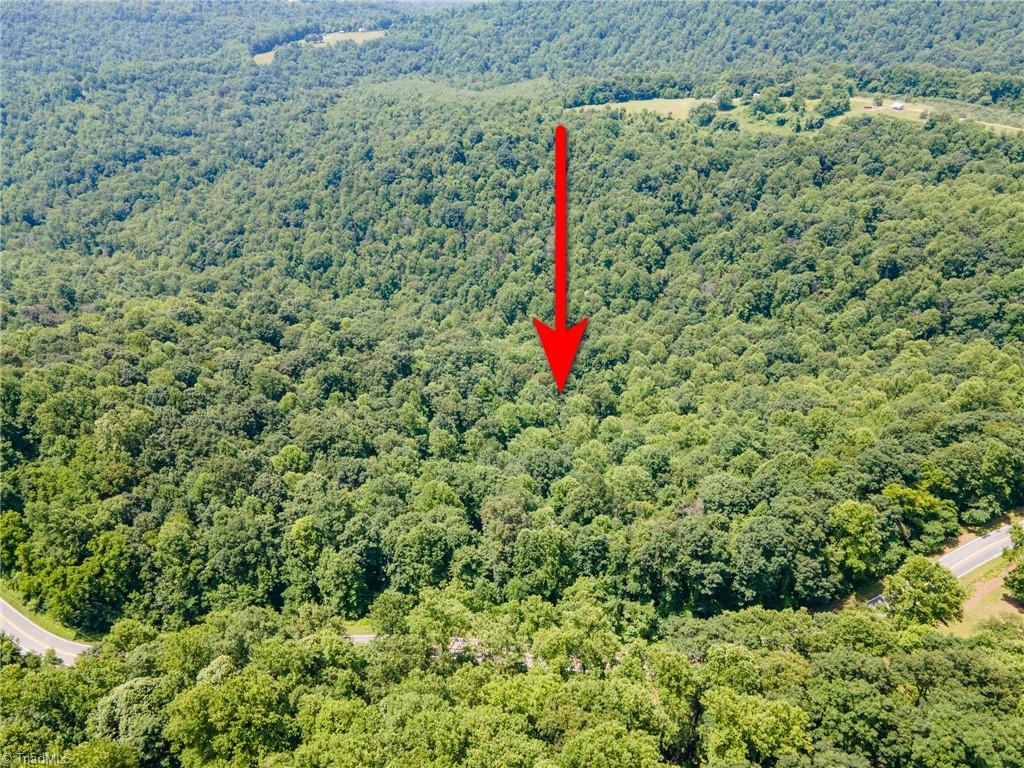 0 Hendren Road Moravian Falls, NC 28654 - Photo 8 of 13