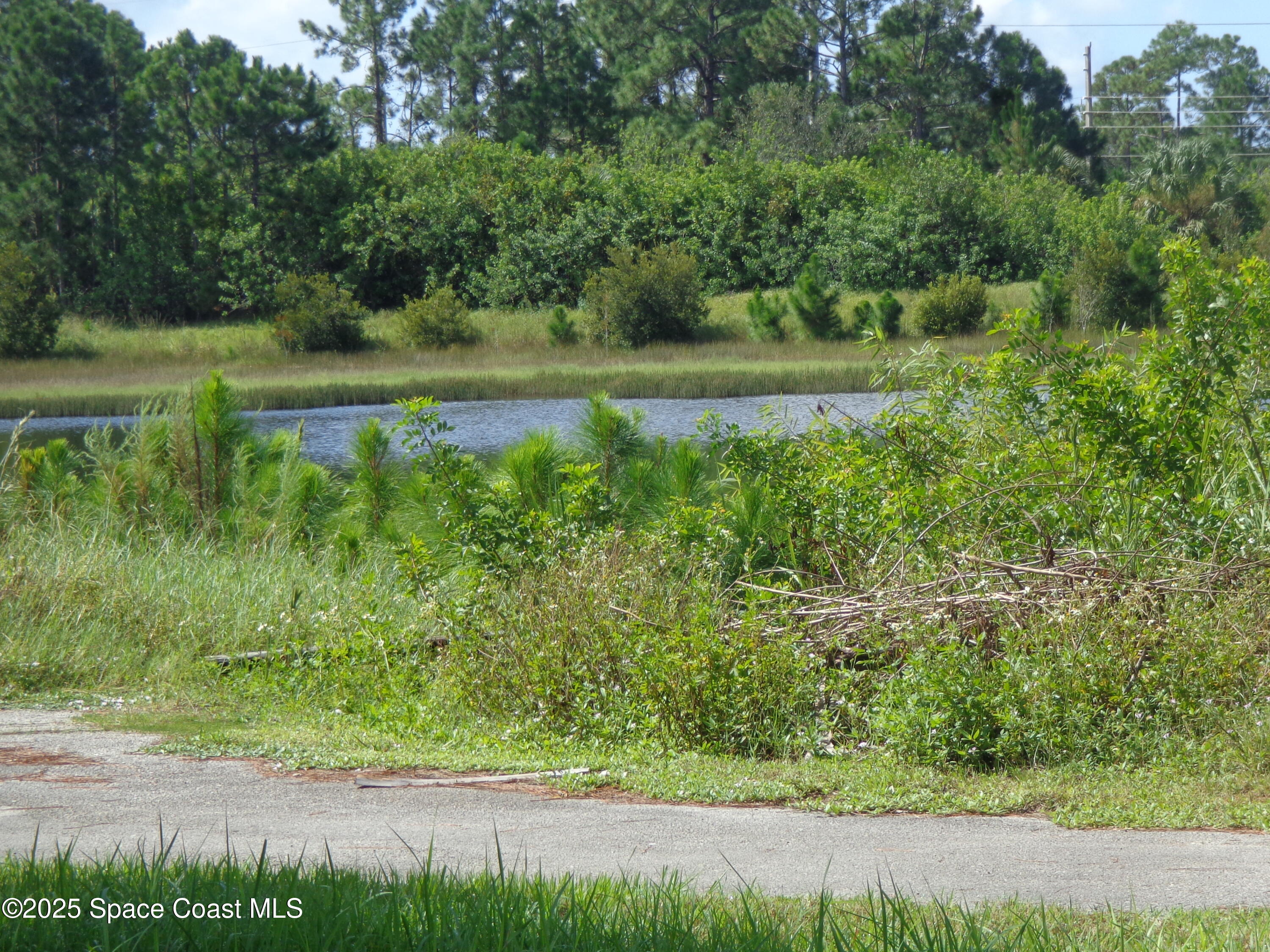 904 Old Country Rd S East Palm Bay, FL 32909 - Photo 5 of 25 a view of a lake with a yard and large trees