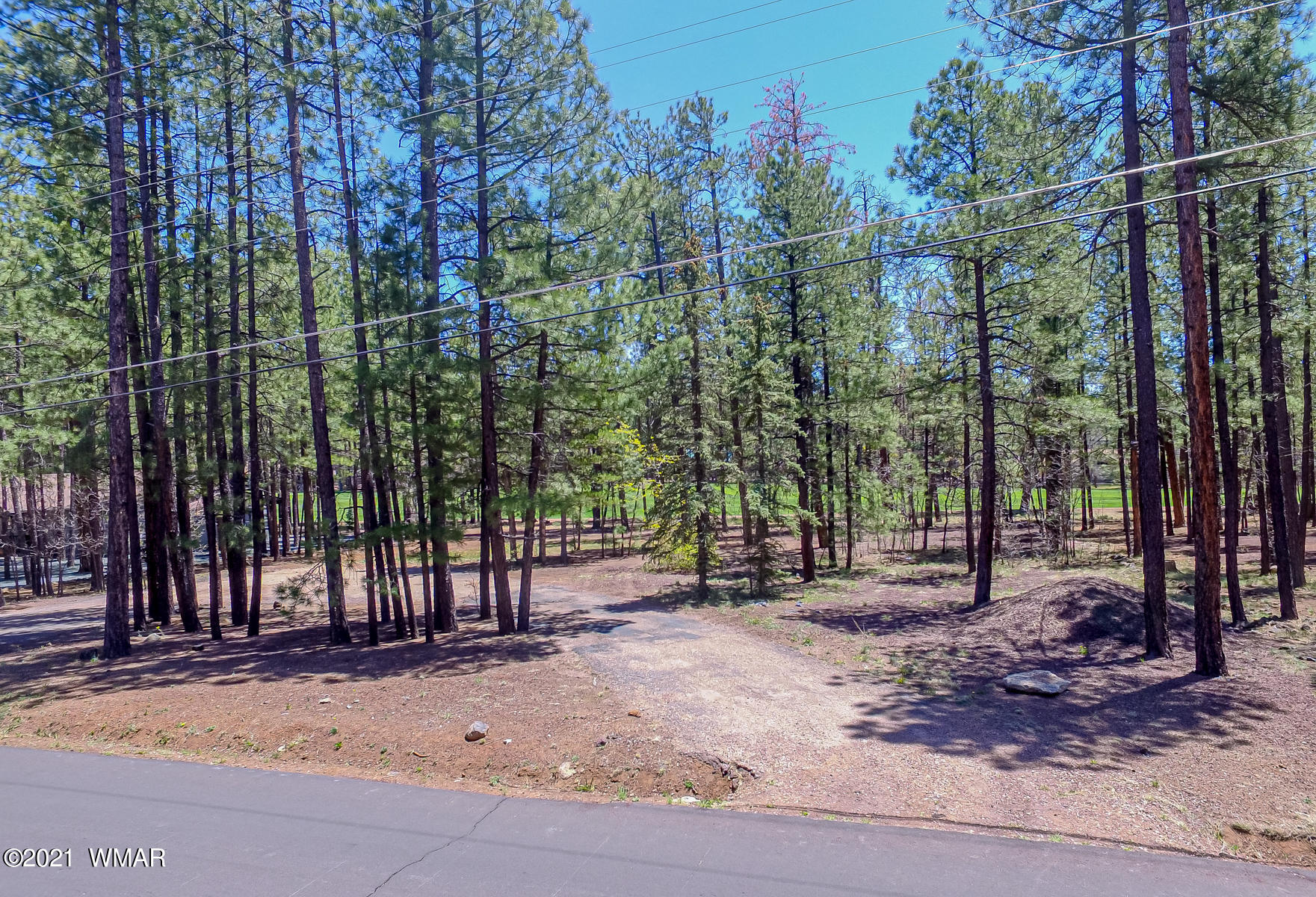 7171 Buck Springs Road Pinetop, AZ 85935 - Photo 11 of 19 Gallery Image 11