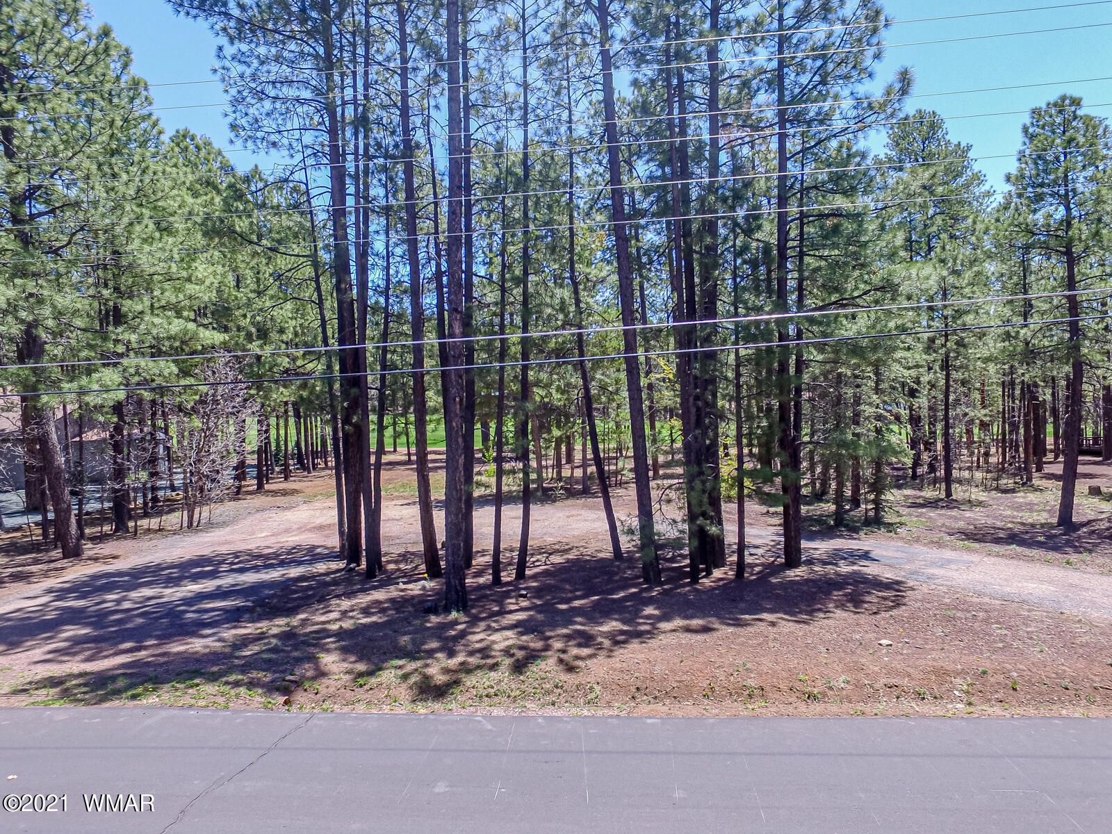 7171 Buck Springs Road Pinetop, AZ 85935 - Photo 13 of 19 Gallery Image 13