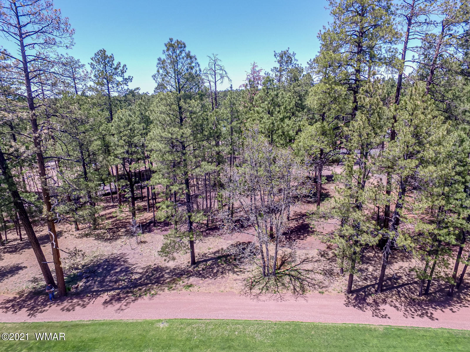 7171 Buck Springs Road Pinetop, AZ 85935 - Photo 17 of 19 Gallery Image 17