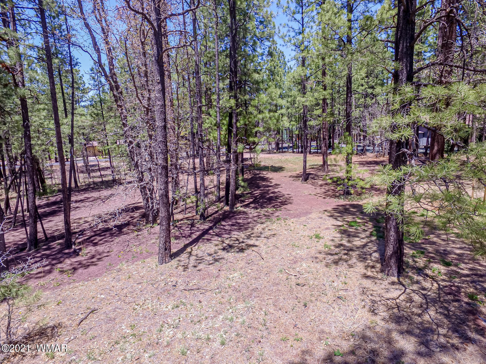 7171 Buck Springs Road Pinetop, AZ 85935 - Photo 18 of 19 Gallery Image 18