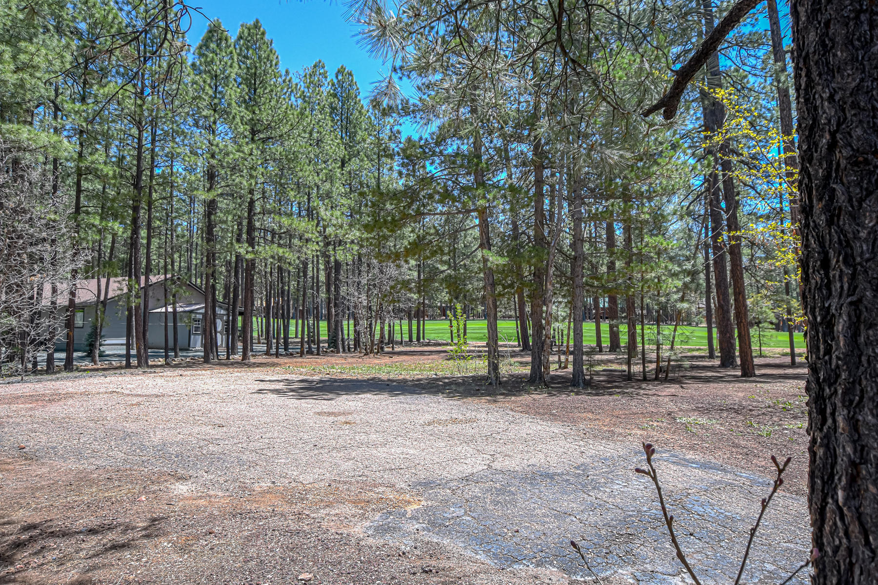 7171 Buck Springs Road Pinetop, AZ 85935 - Photo 2 of 19 Gallery Image 2