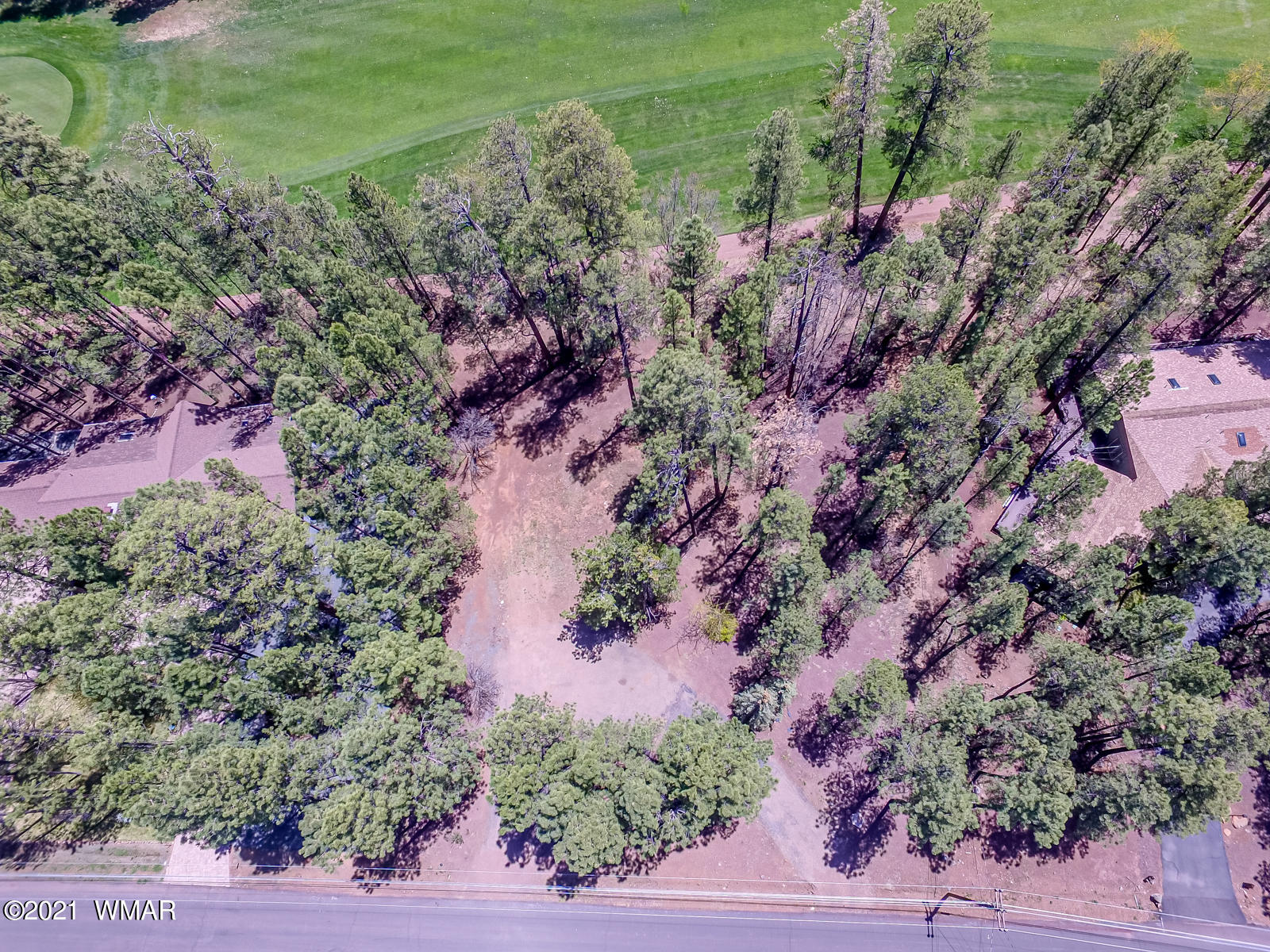 7171 Buck Springs Road Pinetop, AZ 85935 - Photo 3 of 19 Gallery Image 3