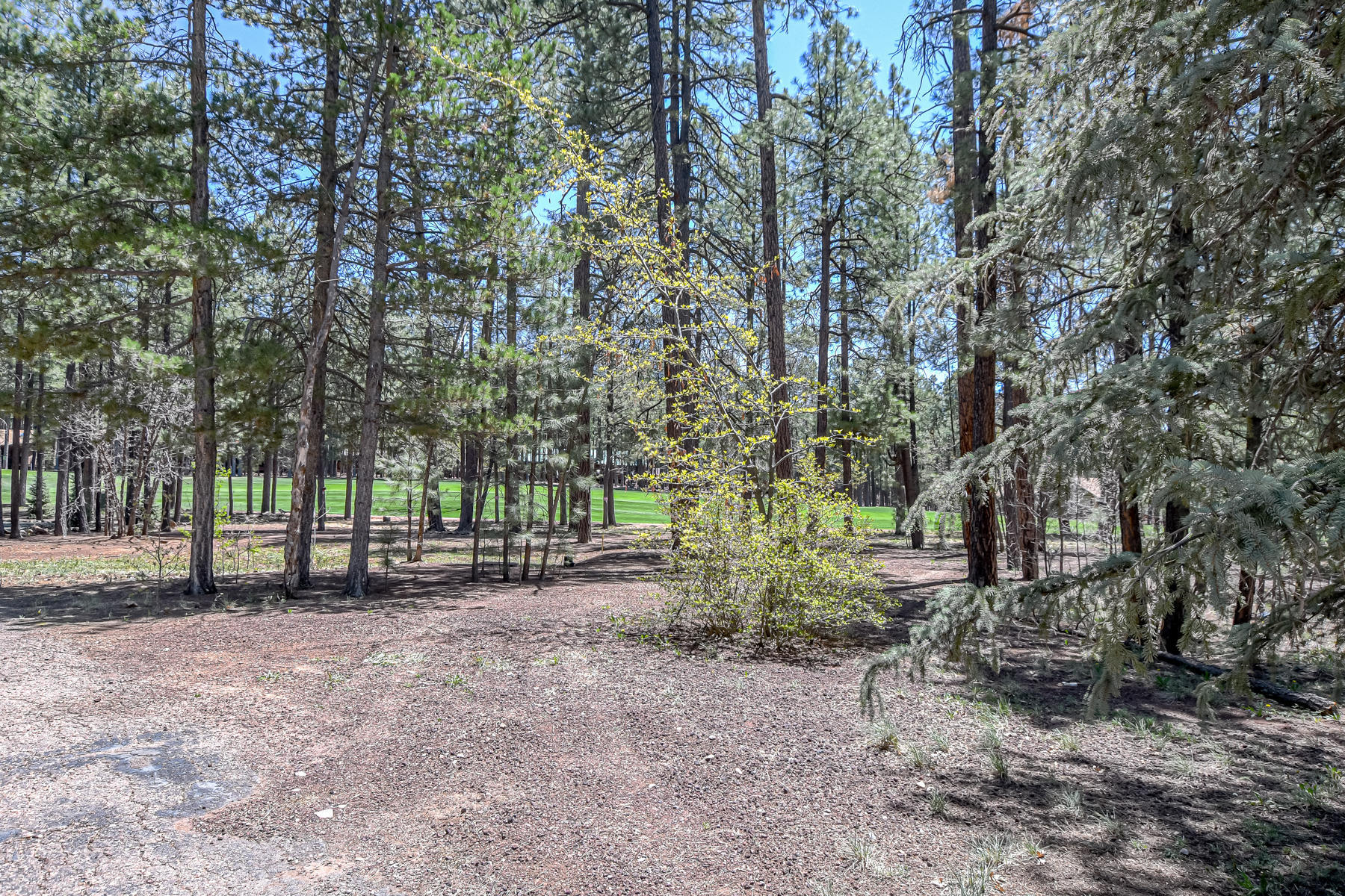 7171 Buck Springs Road Pinetop, AZ 85935 - Photo 4 of 19 Gallery Image 4