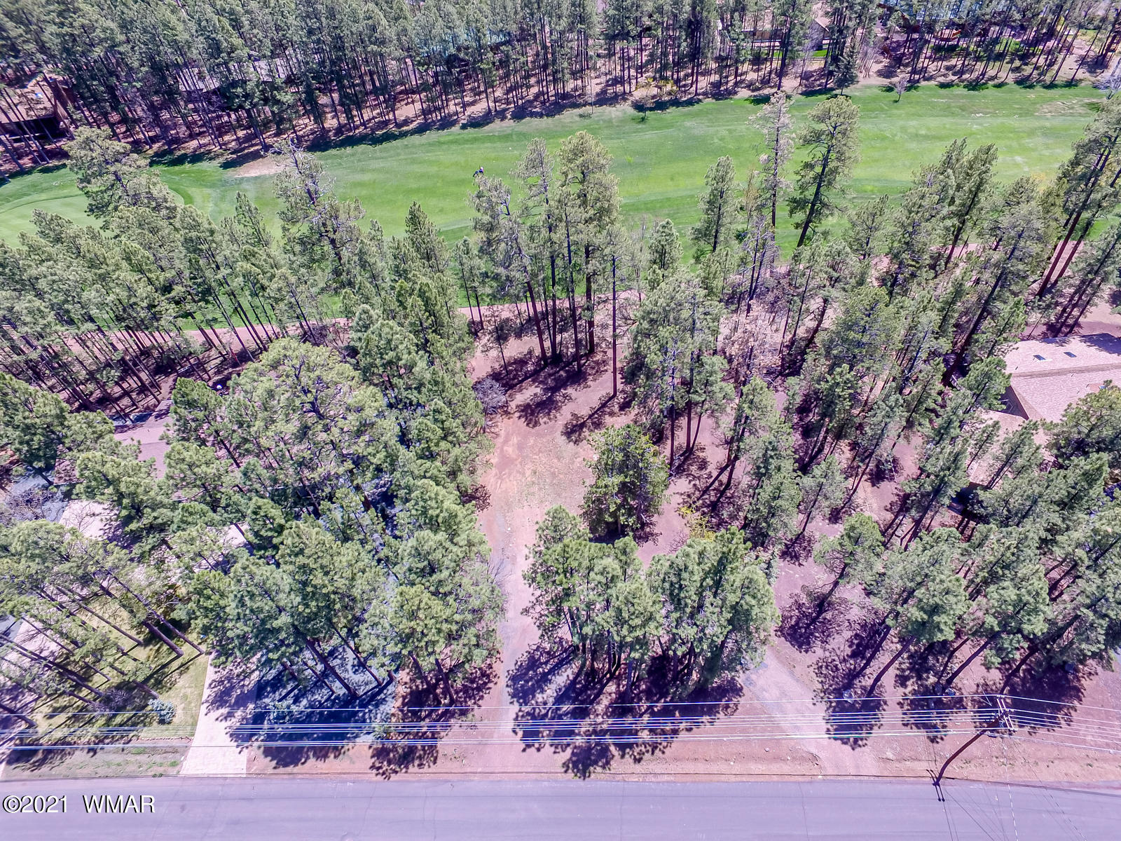 7171 Buck Springs Road Pinetop, AZ 85935 - Photo 5 of 19 Gallery Image 5