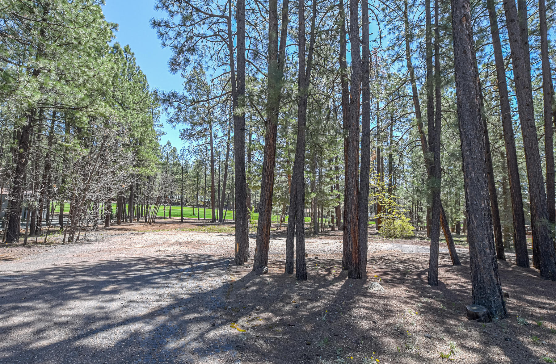 7171 Buck Springs Road Pinetop, AZ 85935 - Photo 6 of 19 Gallery Image 6