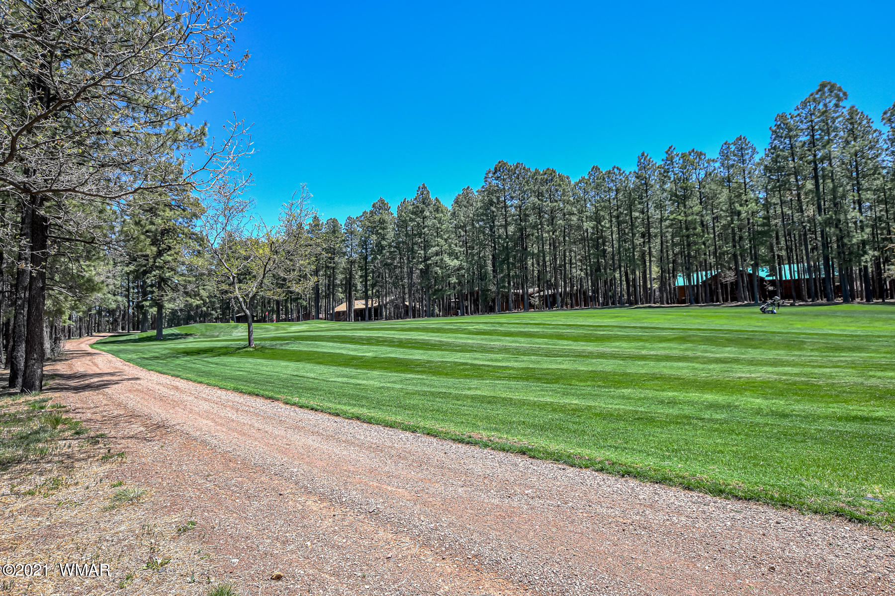 7171 Buck Springs Road Pinetop, AZ 85935 - Photo 8 of 19 Gallery Image 8