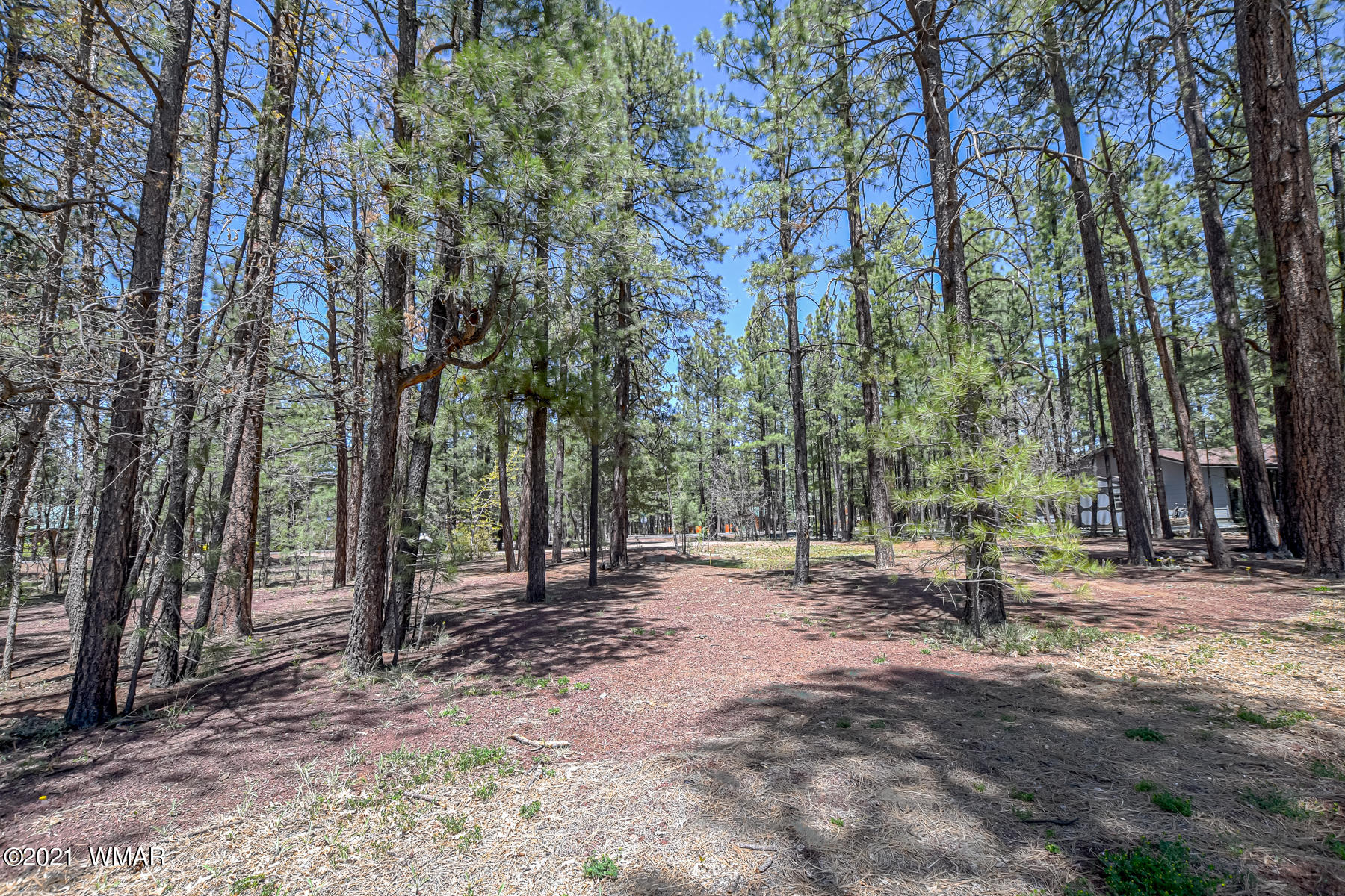 7171 Buck Springs Road Pinetop, AZ 85935 - Photo 9 of 19 Gallery Image 9