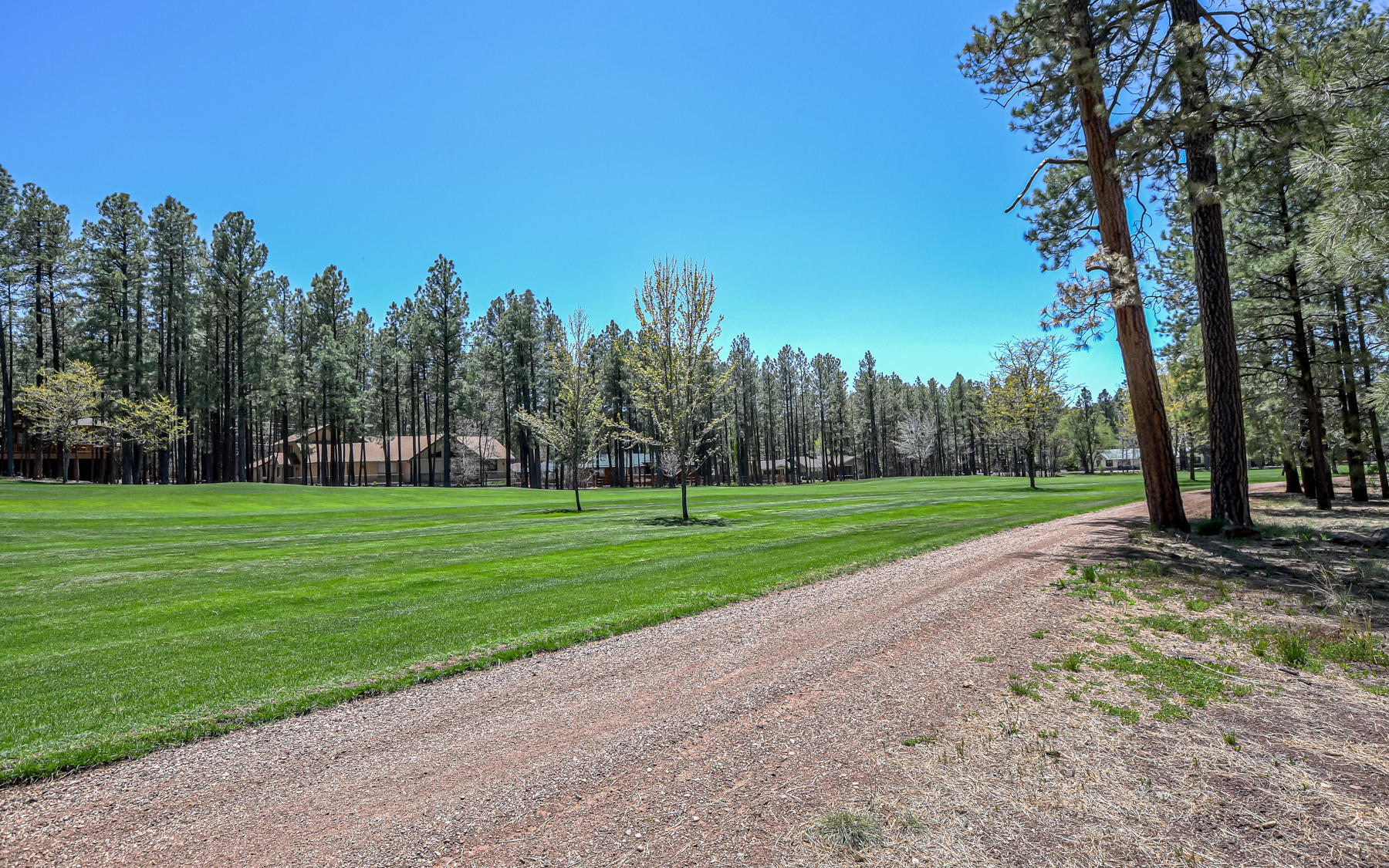 7171 Buck Springs Road Pinetop, AZ 85935 - Photo 10 of 19 Gallery Image 10