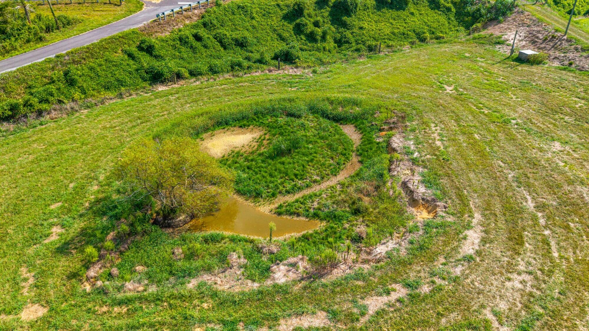 0 County Road 429 Road Englewood, TN 37329 - Photo 4 of 21 20250823171531277962000000-o