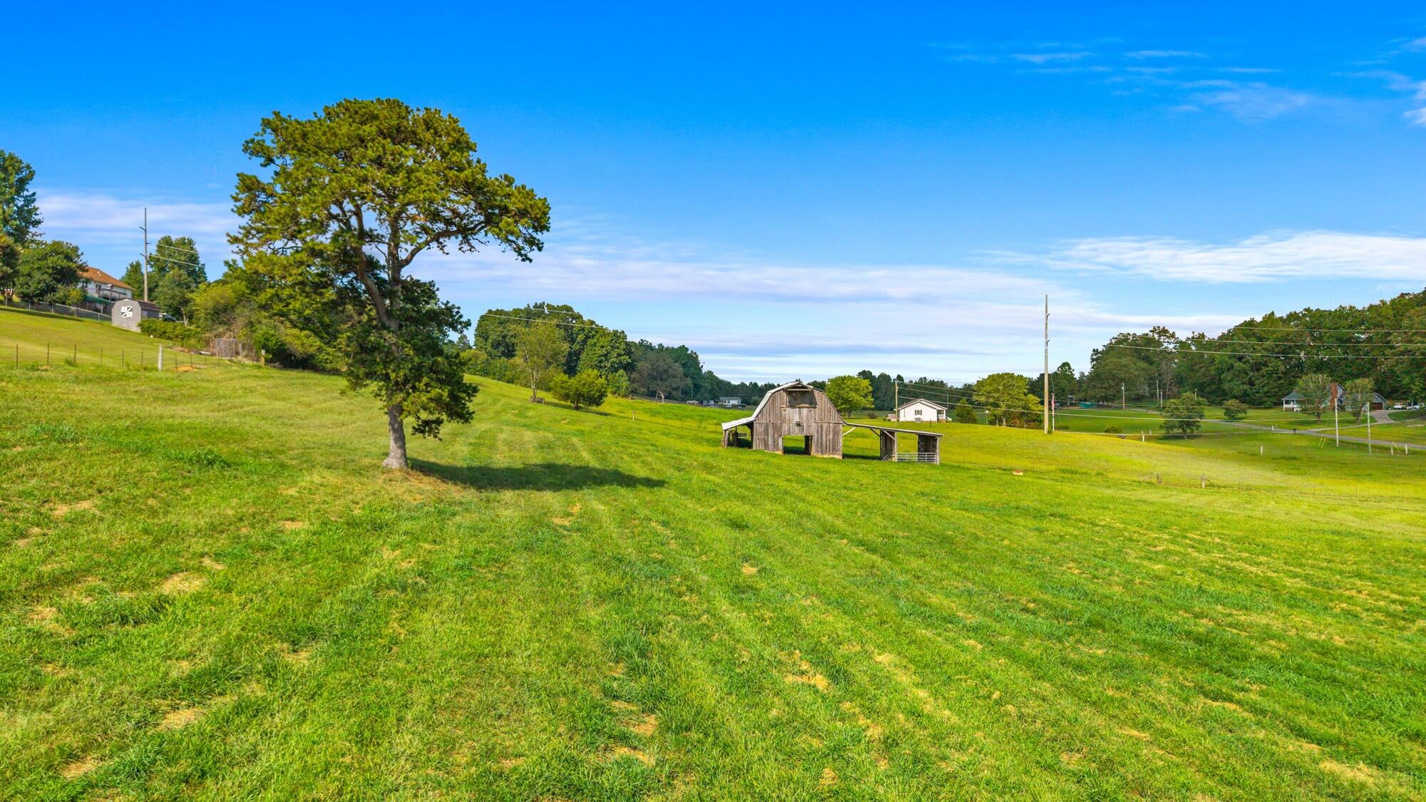 0 County Road 429 Road Englewood, TN 37329 - Photo 5 of 21 20250823171527081772000000-o