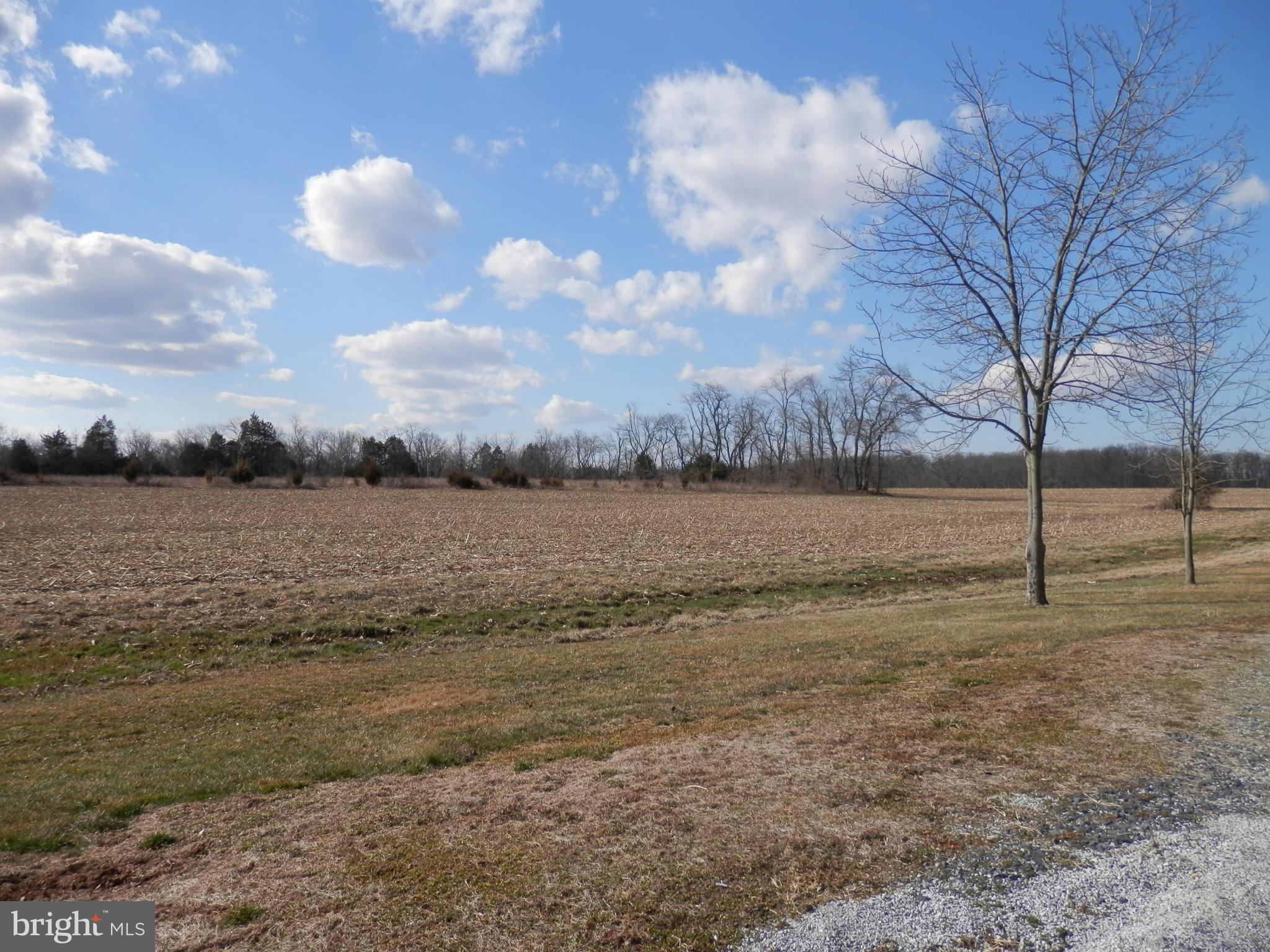 76 Two Taverns Road Gettysburg, PA 17325 - Photo 9 of 28 Level field