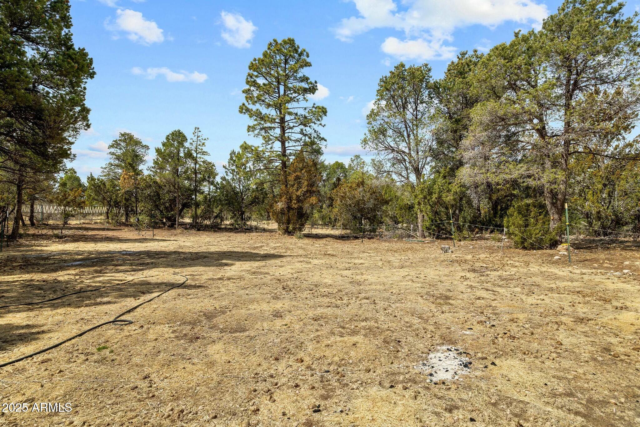 2061 Cherokee Strip Road Overgaard, AZ 85933 - Photo 24 of 40 a view of outdoor space with trees
