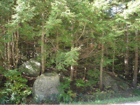 0 Jewell Road Wilmot, NH 03287 - Photo 1 of 1