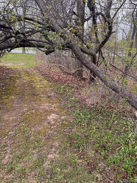 687 West Saginaw Road Mayville, MI 48744 - Photo 11 of 12