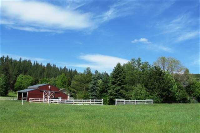 16715 North Lower Greenbluff Road Colbert, WA 99005 - Photo 2 of 8