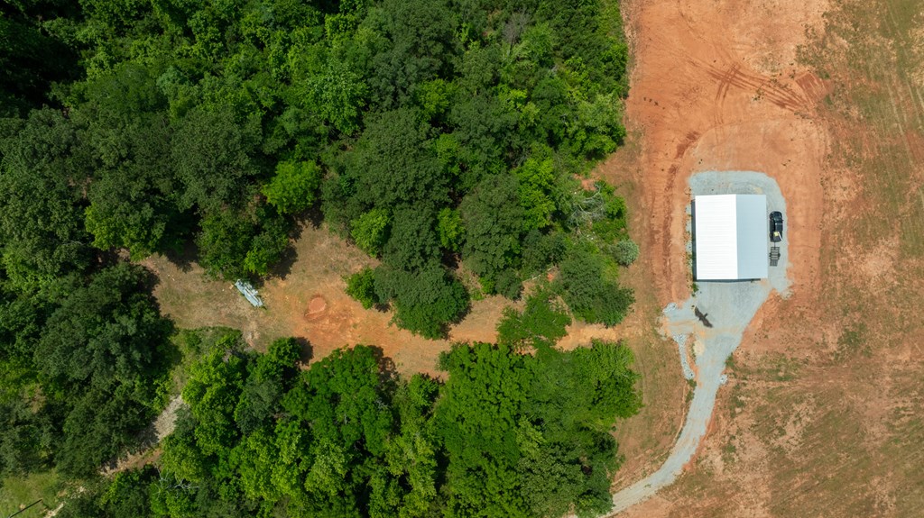 0 Macedonia Church Road Hamilton, GA 31811 - Photo 13 of 44 Gallery Image 13