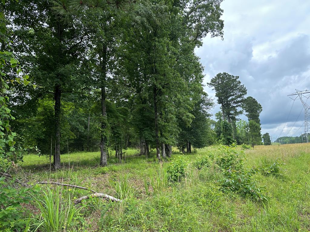 0 Macedonia Church Road Hamilton, GA 31811 - Photo 2 of 44 Gallery Image 2