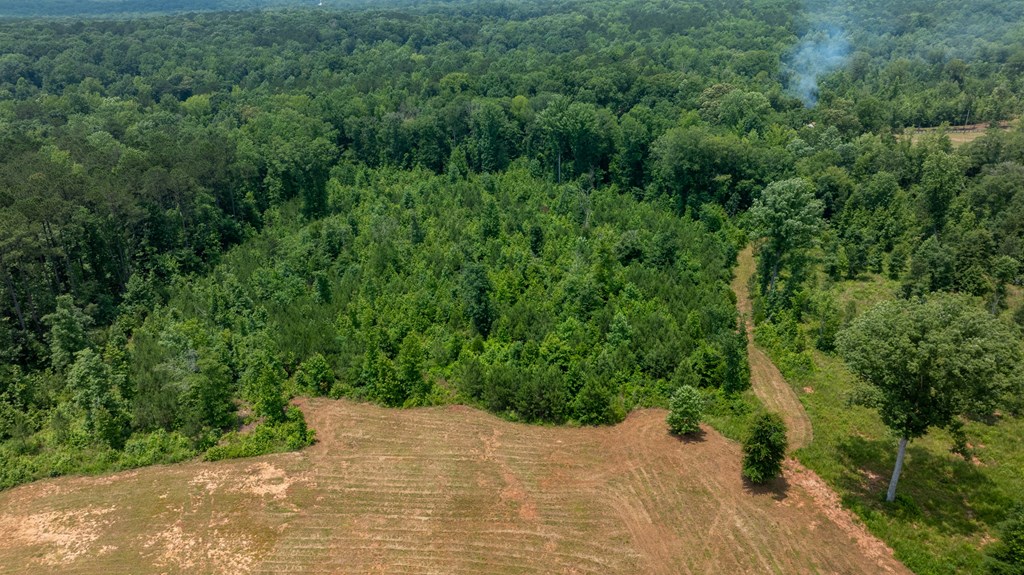 0 Macedonia Church Road Hamilton, GA 31811 - Photo 22 of 44 Gallery Image 22