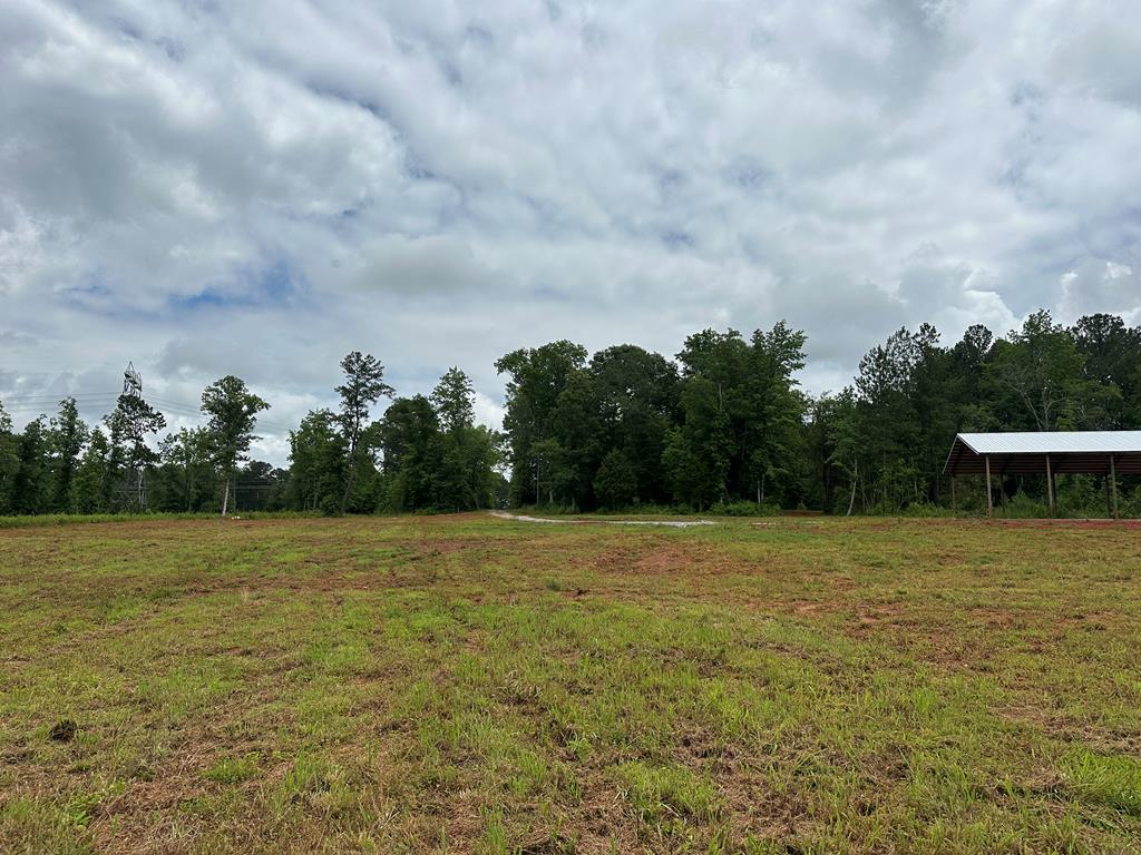 0 Macedonia Church Road Hamilton, GA 31811 - Photo 27 of 44 Gallery Image 27