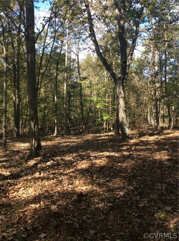 D1 Creek Road Louisa, VA 23093 - Photo 2 of 6 Gallery Image 2