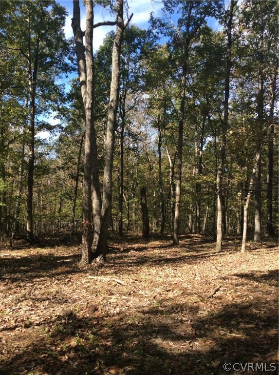 D1 Creek Road Louisa, VA 23093 - Photo 3 of 6 Gallery Image 3