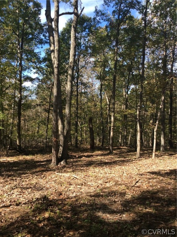 D1 Creek Road Louisa, VA 23093 - Photo 4 of 6 Gallery Image 4