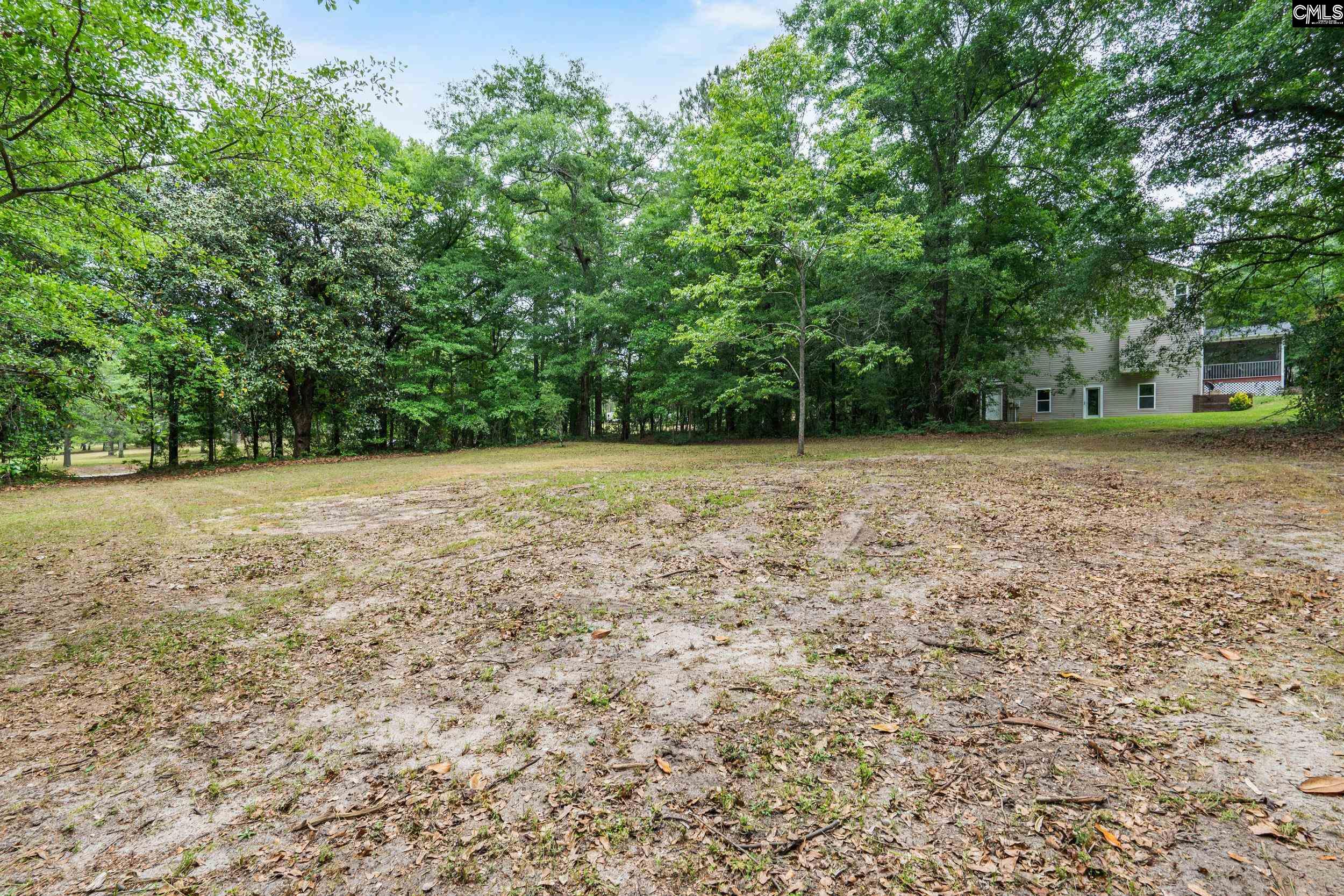 132 Forts Pond Road Pelion, SC 29123 - Photo 52 of 54