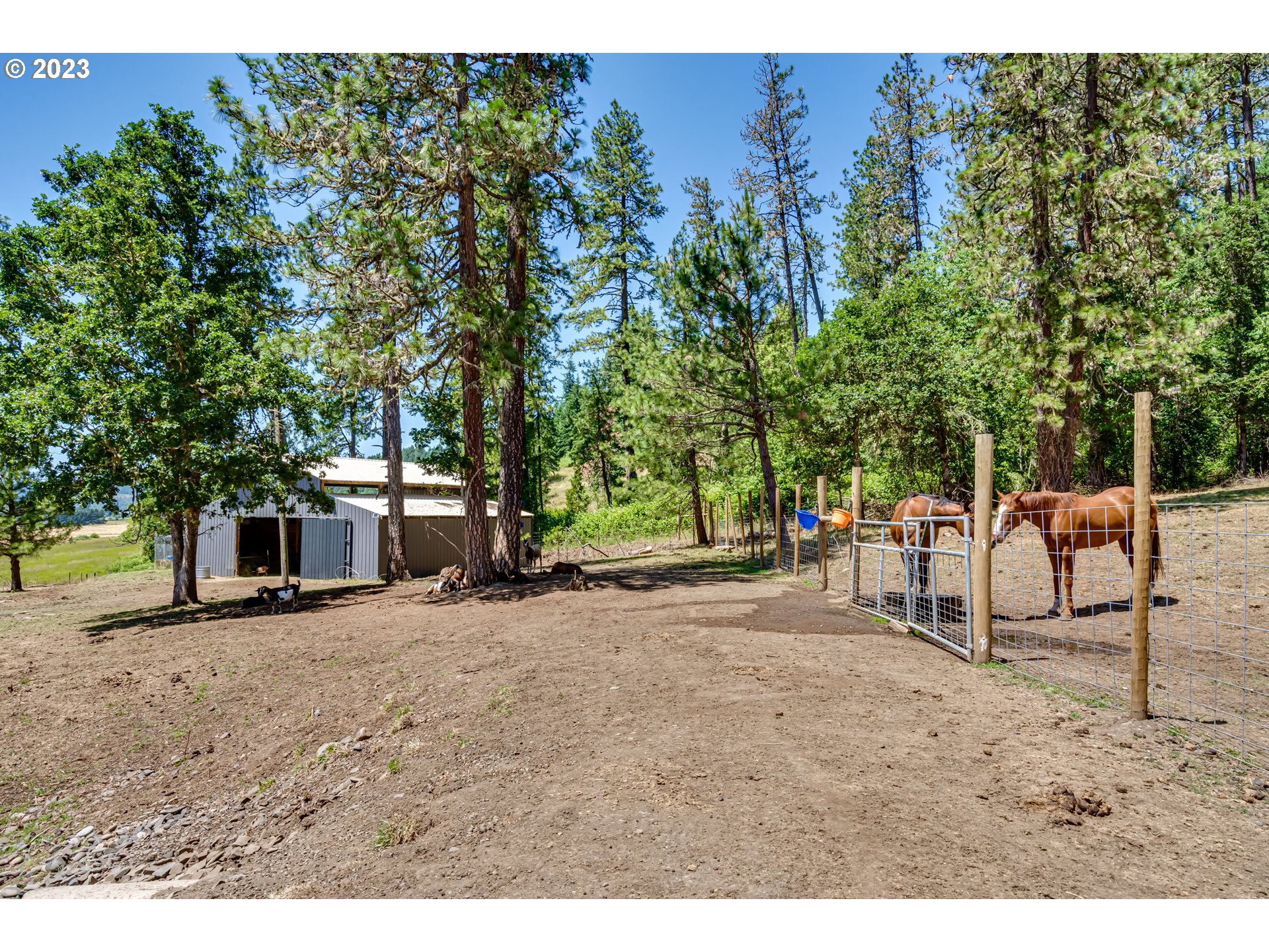 83811 Morning Star Road Creswell, OR 97426 - Photo 45 of 48 Gallery Image 45