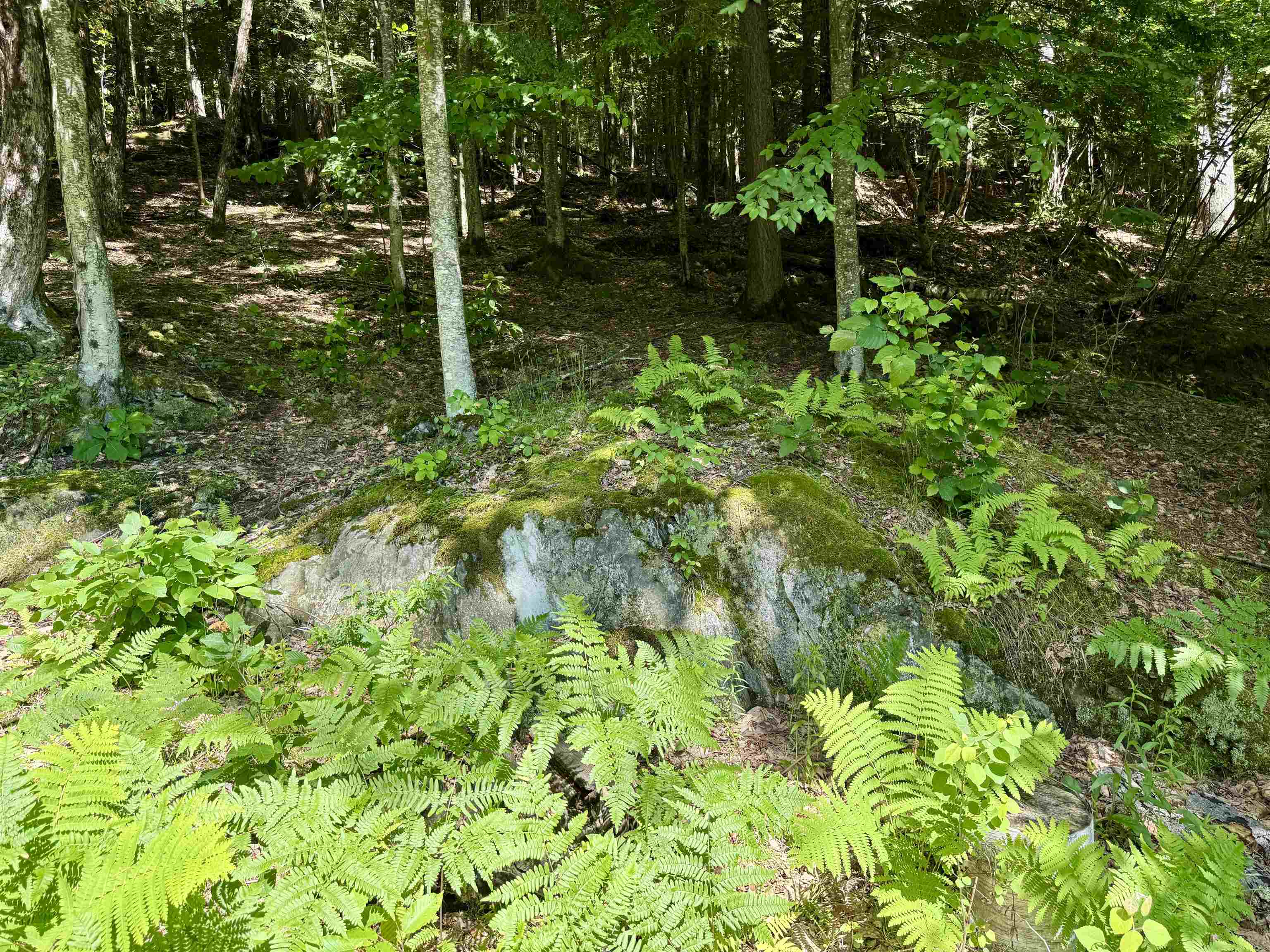 175 Sunset Rock Road Lebanon, NH 03766 - Photo 12 of 28