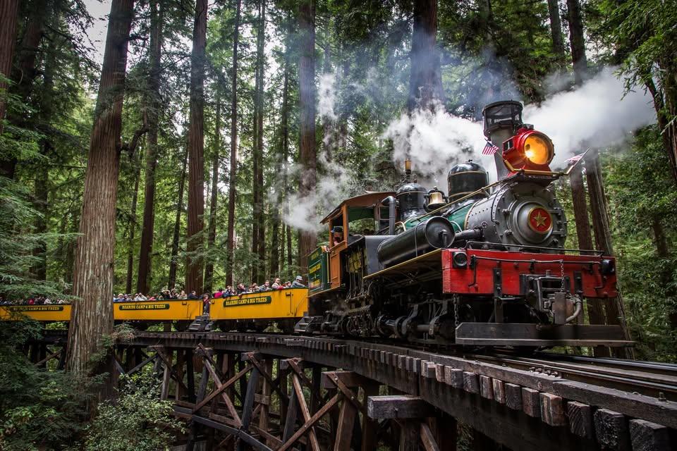 200 Riverside Railroad Drive Ben Lomond, CA 95005 - Photo 43 of 46
