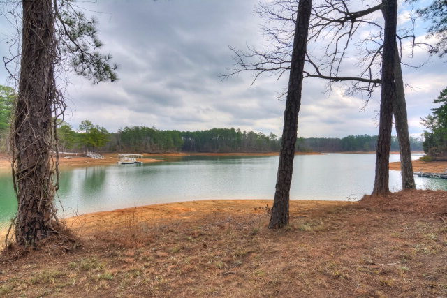 131 Bragg Drive Modoc, SC 29838 - Photo 31 of 40 Shoreline