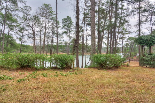 131 Bragg Drive Modoc, SC 29838 - Photo 33 of 40 Backyard