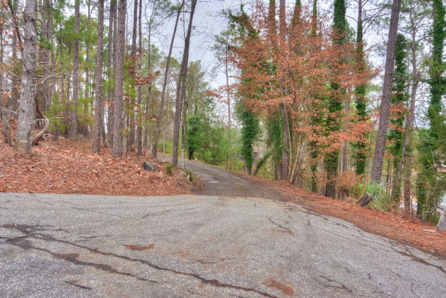 131 Bragg Drive Modoc, SC 29838 - Photo 35 of 40 Driveway